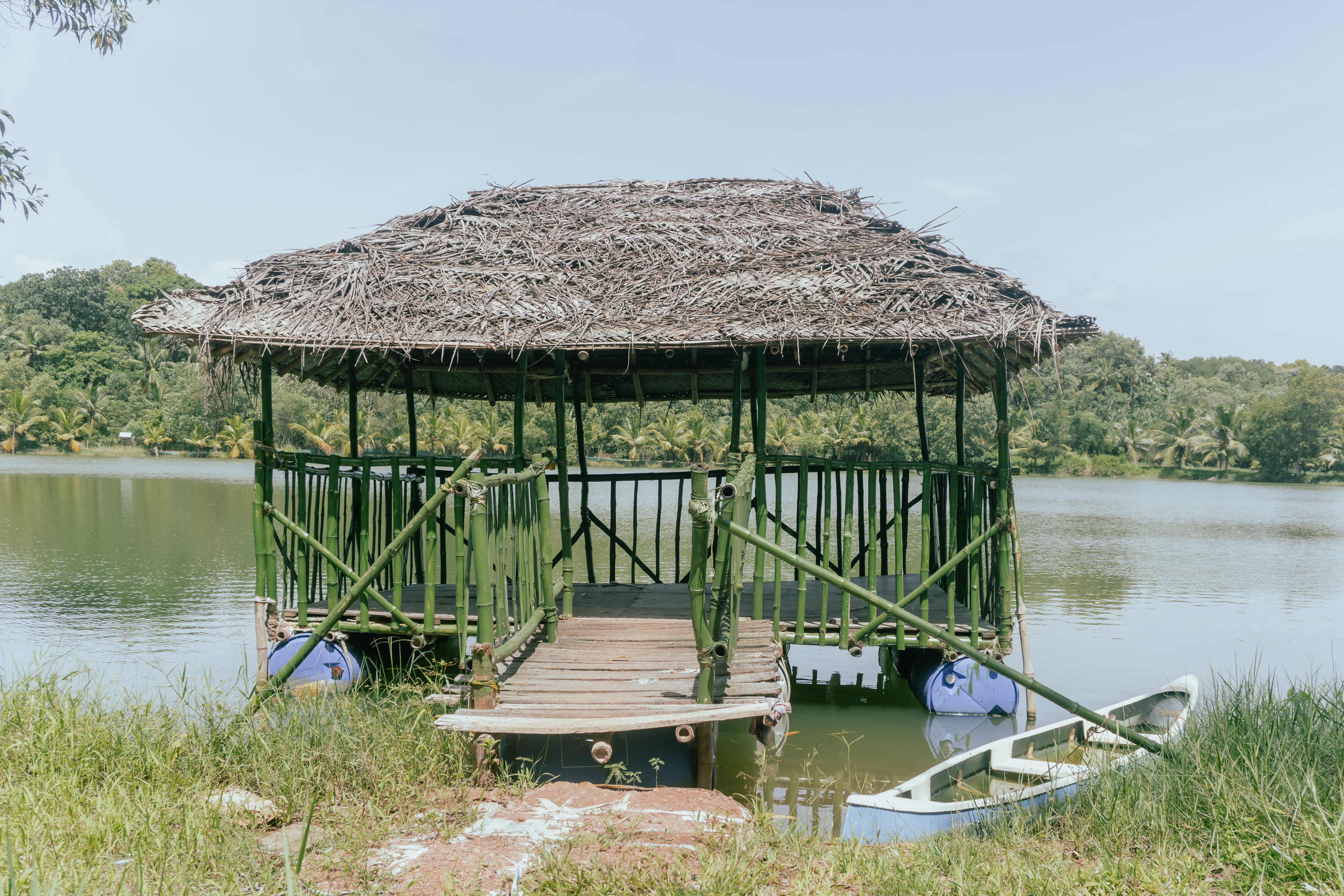 Discover the Beauty of the Backwaters
